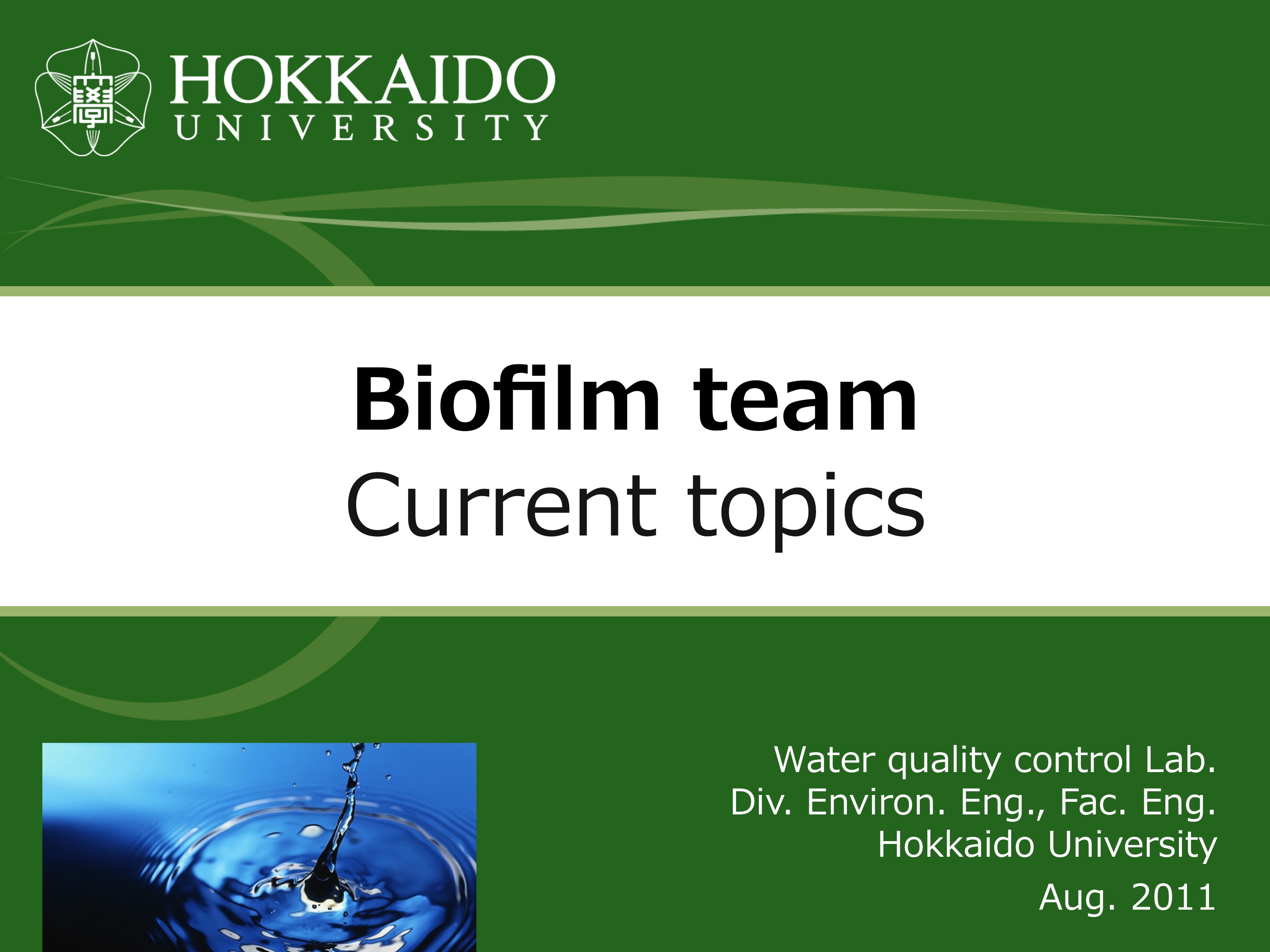 Biofilm team Current topics