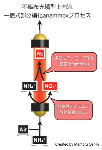 北海道大学