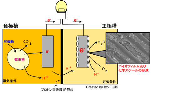 微生物燃料電池 研究内容 水質変換工学研究室