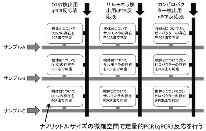 北海道大学