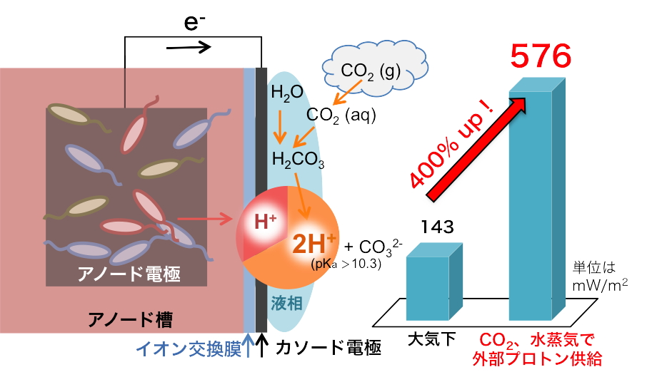 微生物燃料電池 研究内容 水質変換工学研究室